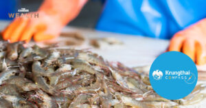 Food Traceability