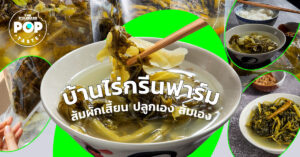 บ้านไร่กรีนฟาร์