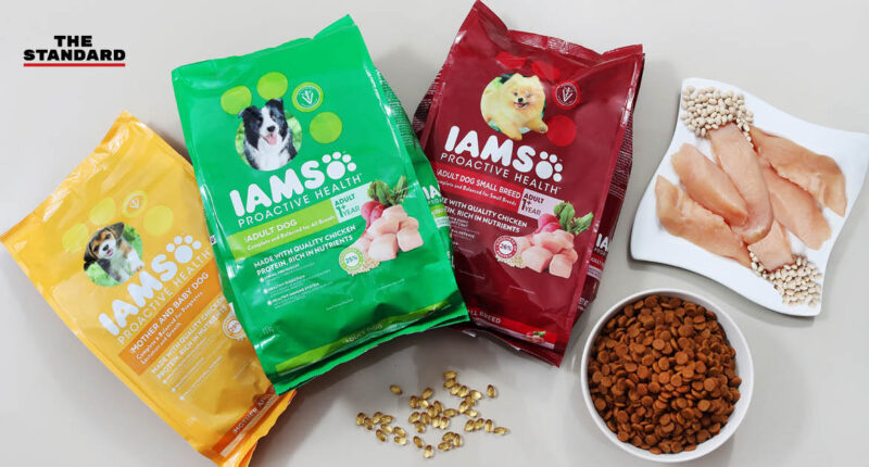 IAMS