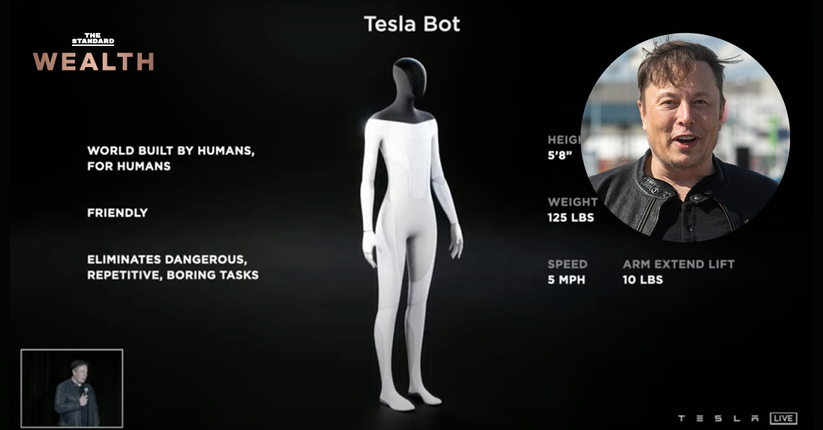 Tesla Bot