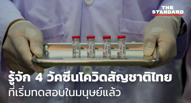 Thai covid vaccine