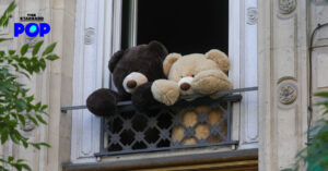 Teddy Bear
