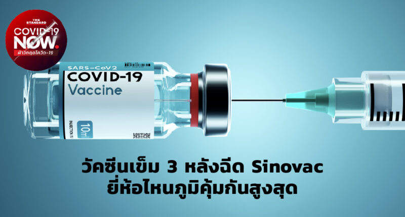 vaccination needle 3