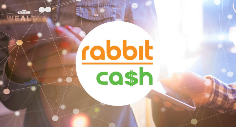 Rabbit Cash