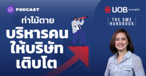 THE SME HANDBOOK