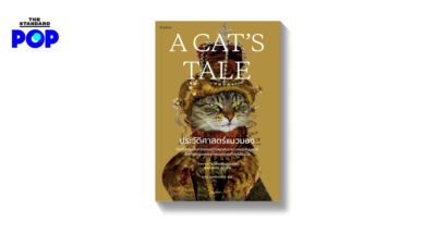 A Cat’s Tale ประวัติศาสตร์แมวมอง