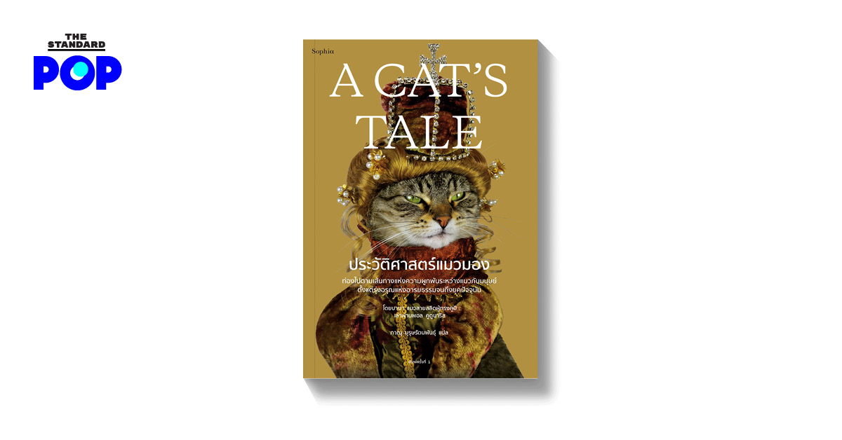 A Cat’s Tale ประวัติศาสตร์แมวมอง