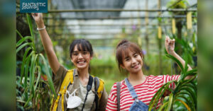 Fantastic Journey