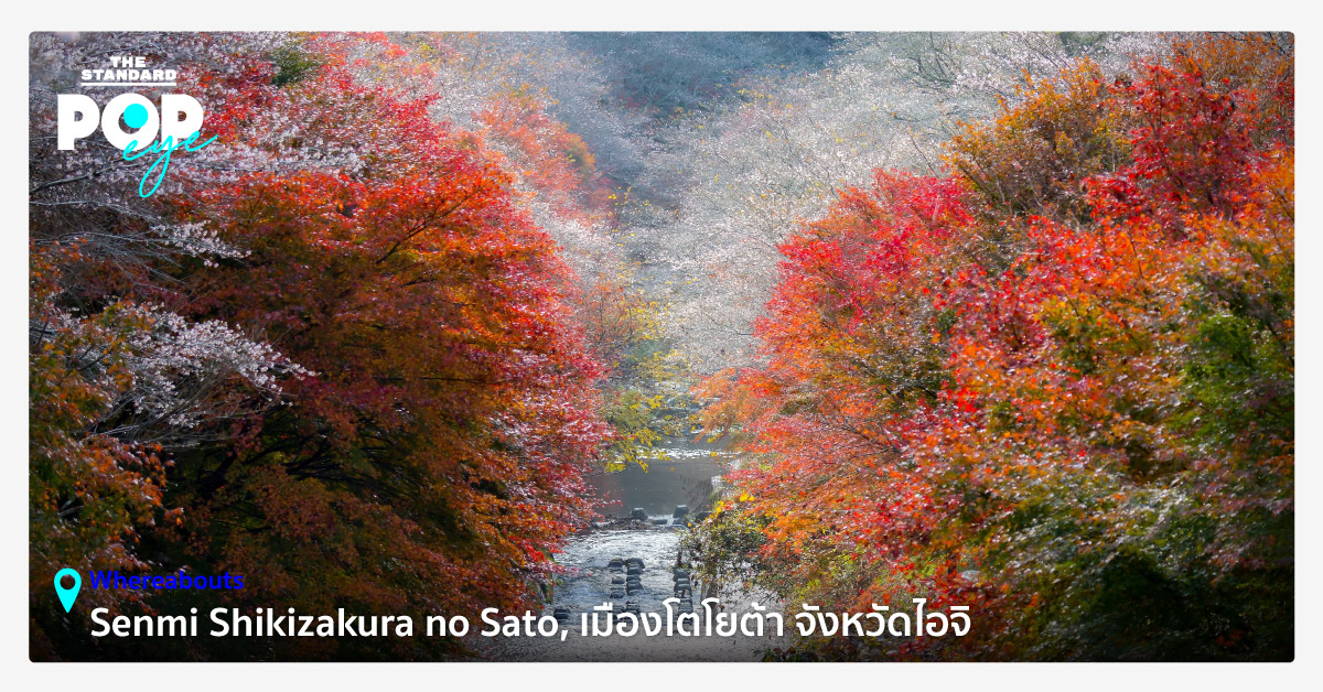 POP EYE: ใบไม้เปลี่ยนสีคู่ซากุระบาน ณ Senmi Shikizakura no Sato เมือง ...