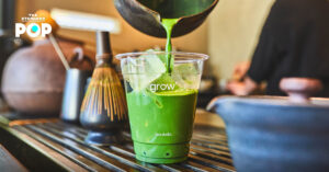 Grow tea.studio