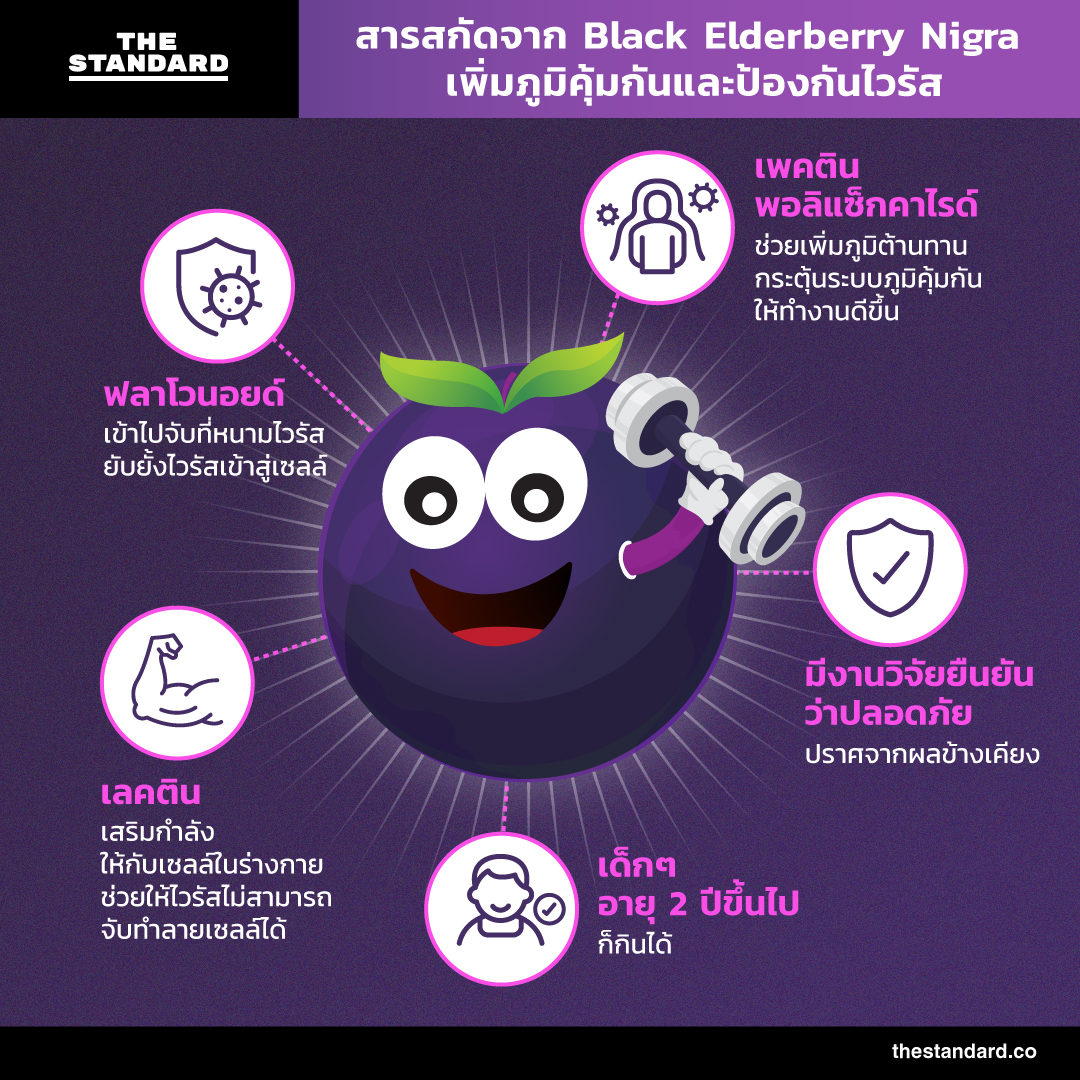 Black Elderberry Nigra