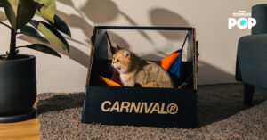 Carnival