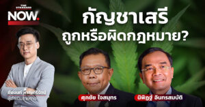 ปลูกกัญชาเสรี