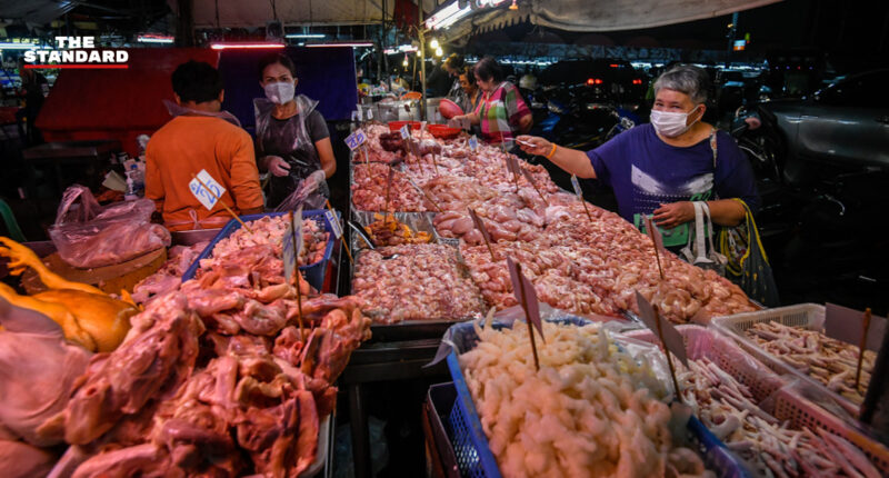 เนื้อไก่