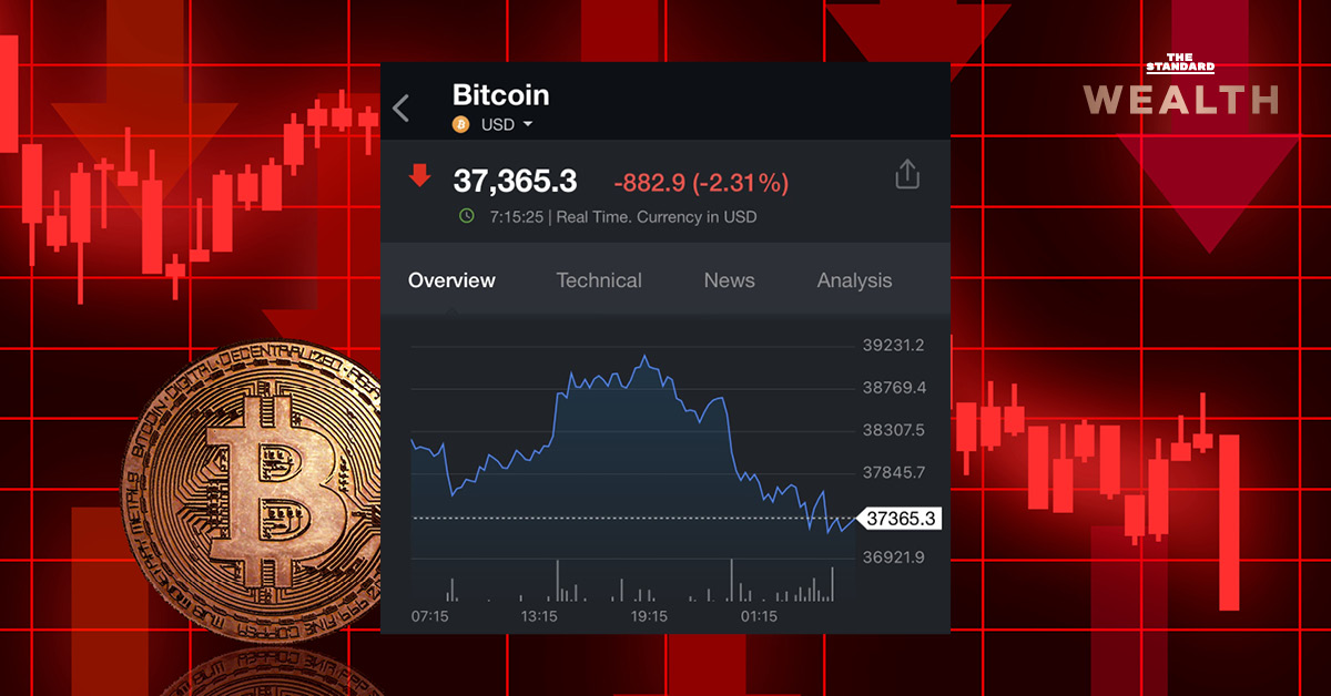 Bitcoin fall