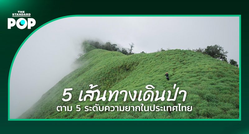 5 เส้นทางเดินป่า ตาม 5 ระดับความยากในประเทศไทย