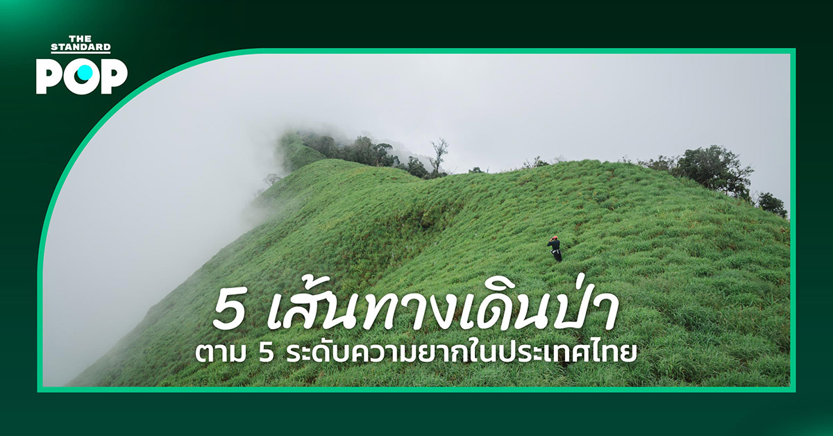 5 เส้นทางเดินป่า ตาม 5 ระดับความยากในประเทศไทย