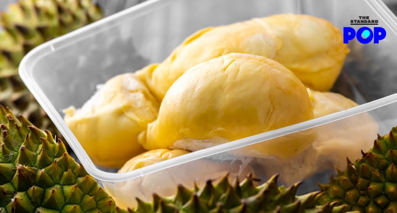 Durian Metaverse