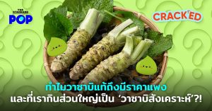 วาซาบิ