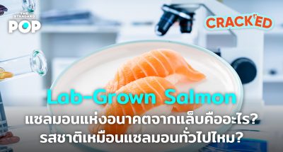 Lab-Grown Salmon