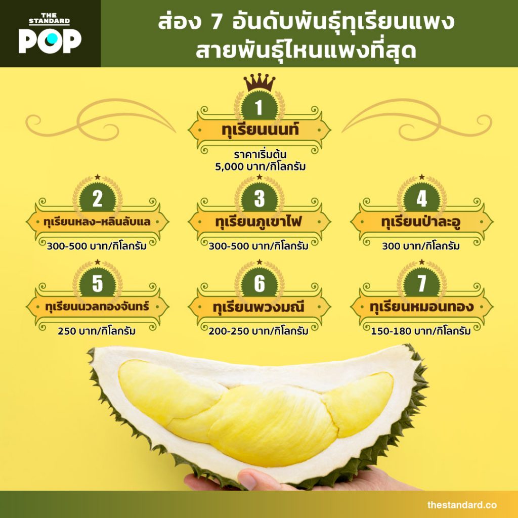 ส่อง 7 อันดับพันธุ์ทุเรียนแพง สายพันธุ์ไหนแพงที่สุด – THE STANDARD
