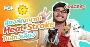 ฮีตสโตรก