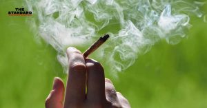 กลิ่น-ควันกัญชา กัญชง