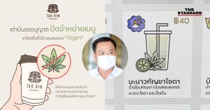 เต่าบิน