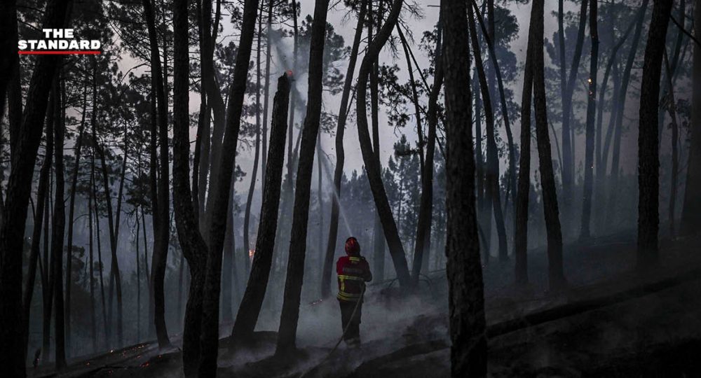 ไฟป่าในโปรตุเกส