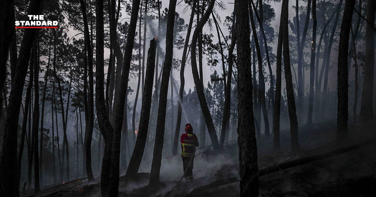 ไฟป่าในโปรตุเกส