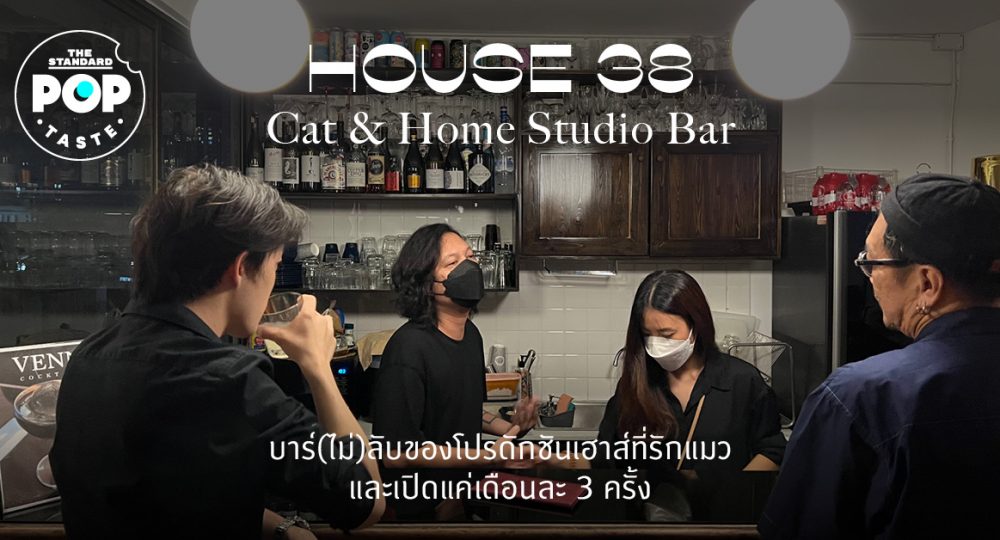 House 38 Cat & Home Studio Bar