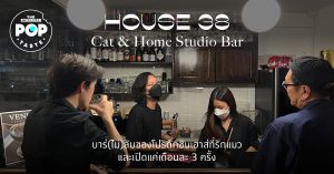 House 38 Cat & Home Studio Bar