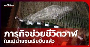 วาฬ