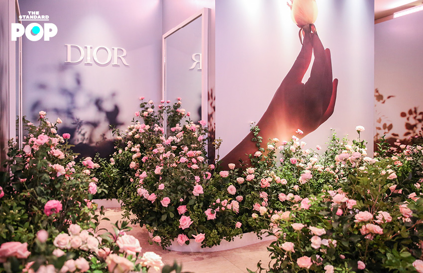 Dior Rose Gallery
