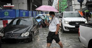 เขตบางเขน