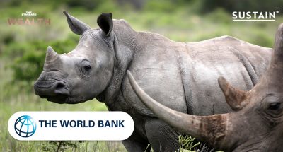 Rhino Bond