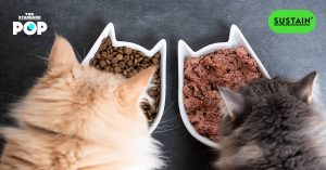 อาหารสัตว์