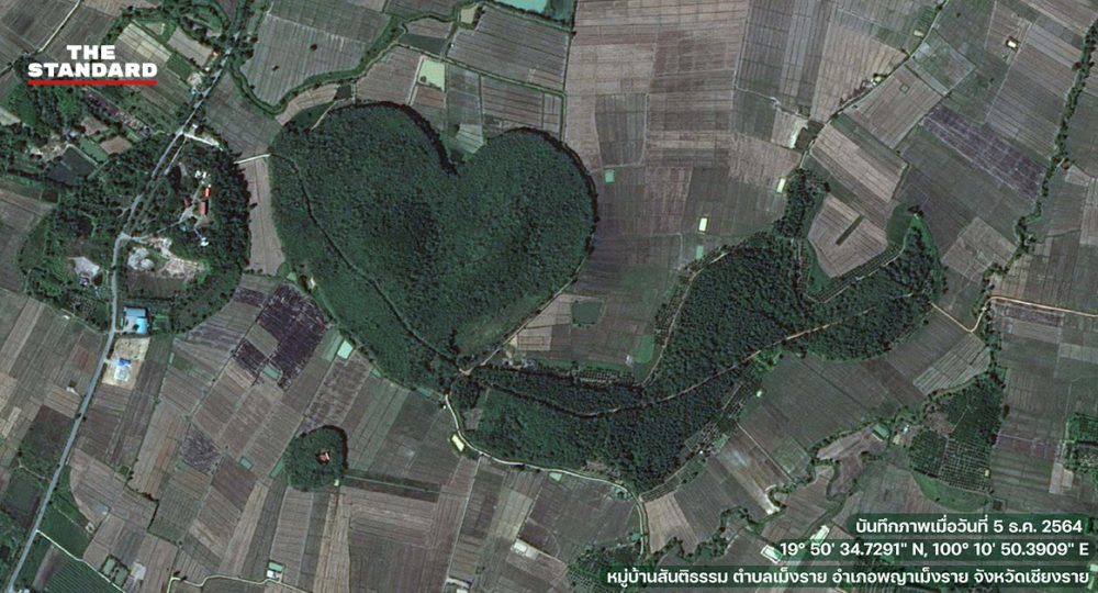 ป่ารูปหัวใจ
