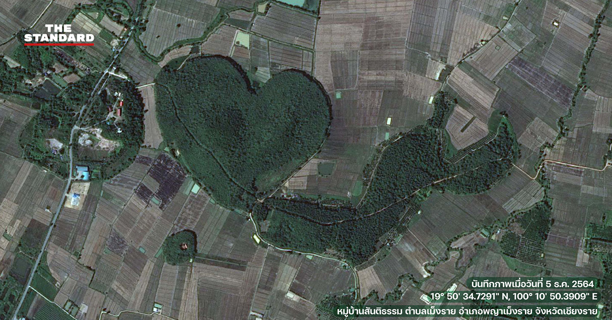 ป่ารูปหัวใจ
