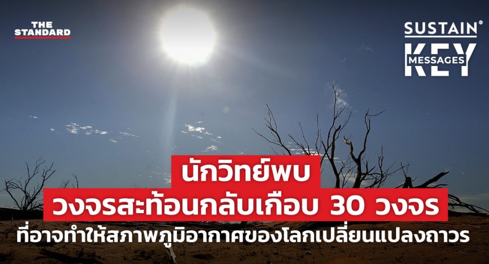 วงจรสะท้อนกลับ