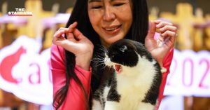Thailand Cat Show 2023