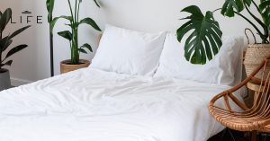 Making Bed