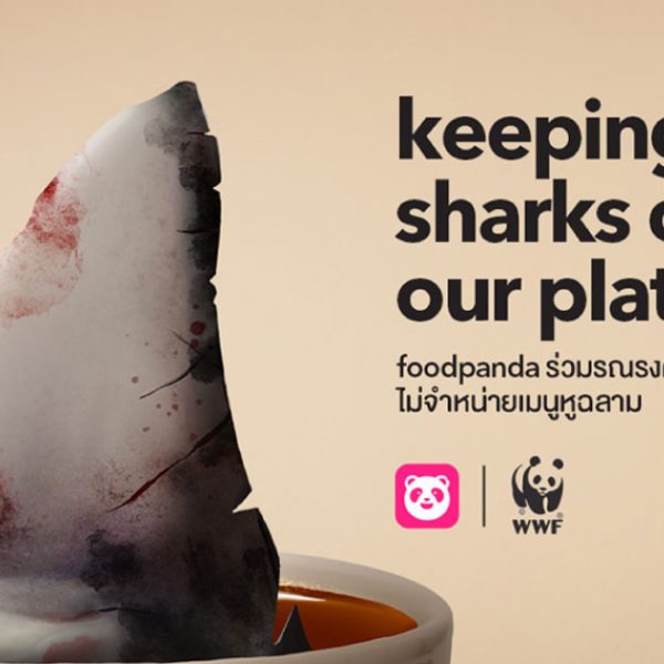 foodpanda wwf หูฉลาม