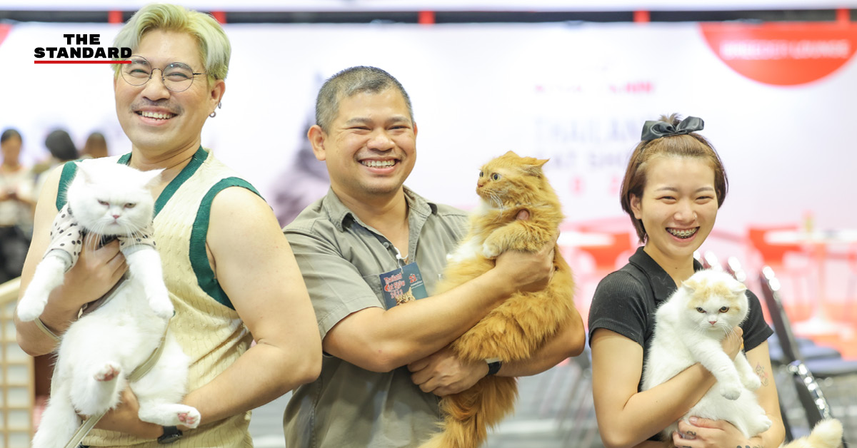 Thailand Cat Show 2023