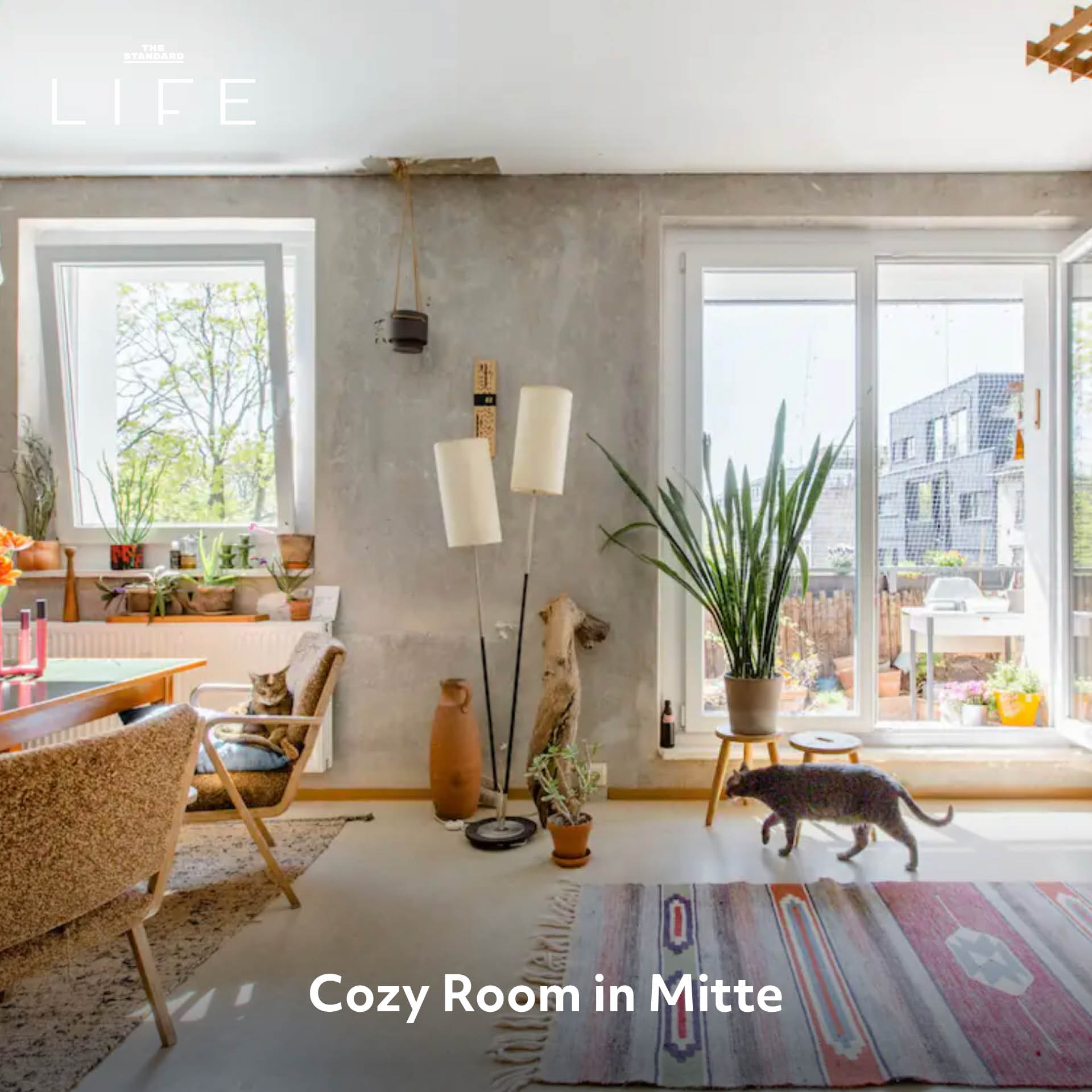 Cozy Room in Mitte