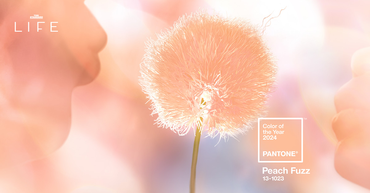 PANTONE Peach Fuzz 13-1023