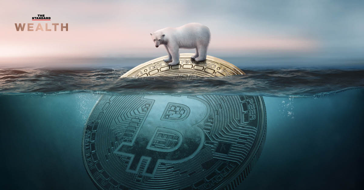 polar bear on bitcoin