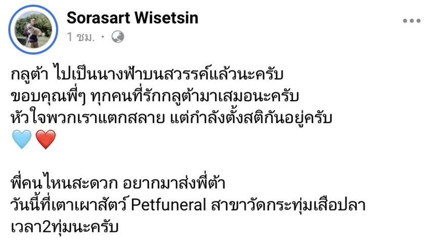 กลูต้า