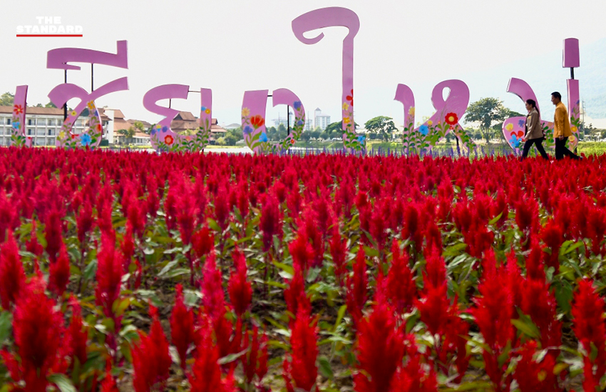 Charming Chiang Mai Flower Festival 2025