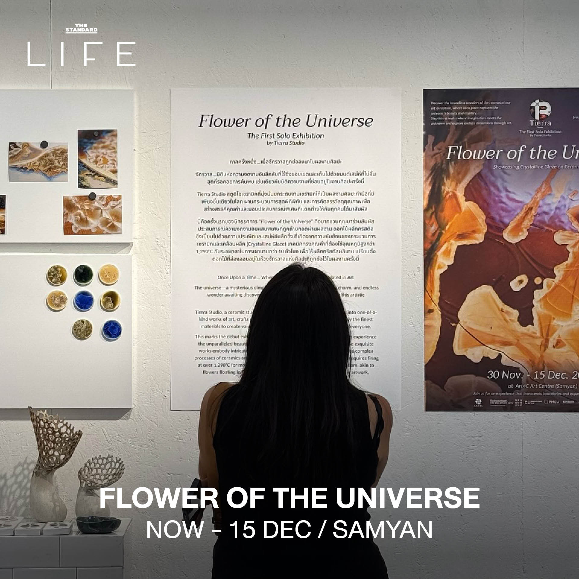 FLOWER OF THE UNIVERSE / NOW - 15 DEC / SAMYAN